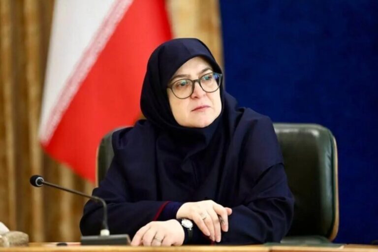 مهاجرانی: دولت برای سهمیه‌های اضافی بنزین تصمیم‌گیری می‌کند