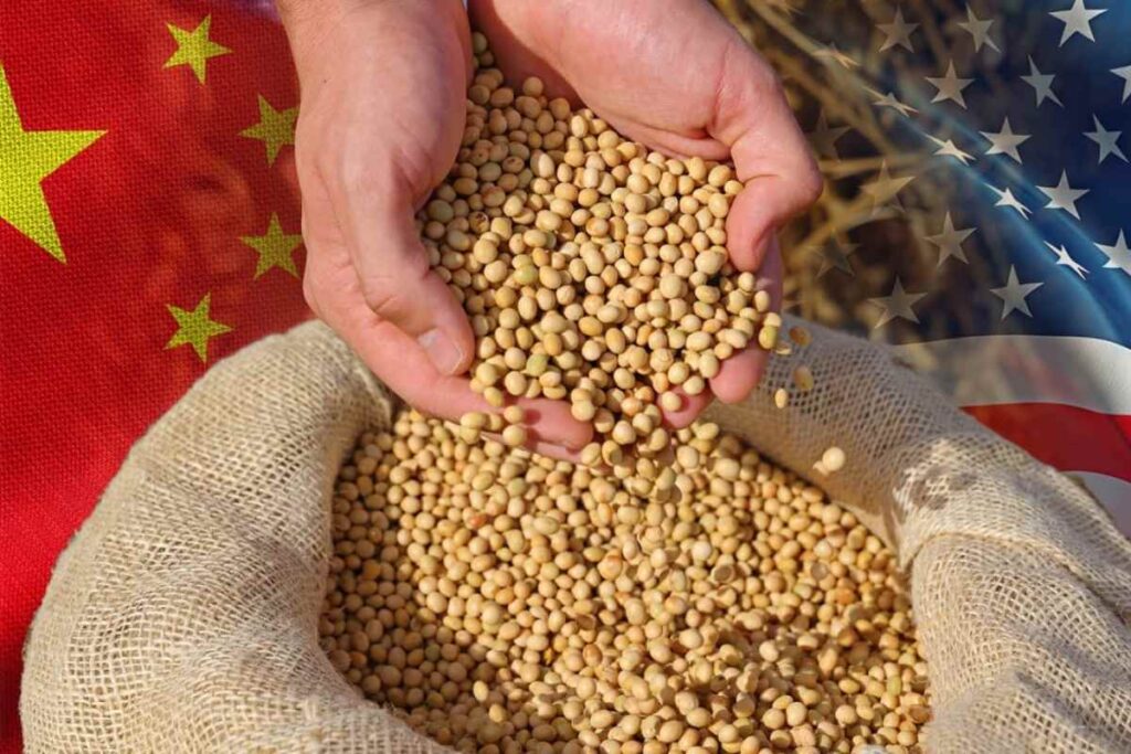 پشت پرده خریدهای میلیاردی چین در بازار سویا چیست؟ بررسی اثرات این معامله بر قیمت‌های جهانی