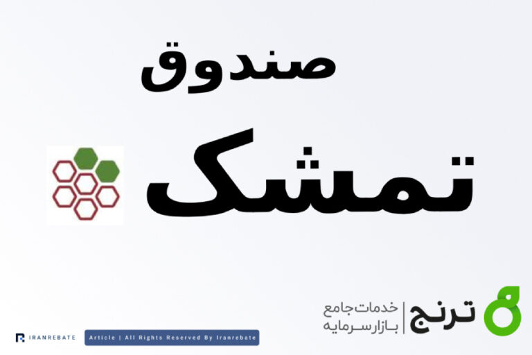 بررسی صندوق تمشک