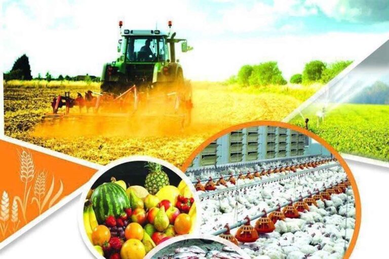 بحران غذایی در جهان با بسته شدن تنگه هرمز | نفت تنها محصول خاورمیانه نیست