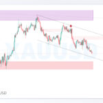 xauusd shakhes 7